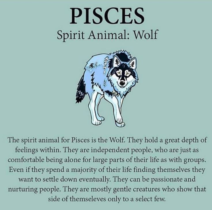 a poem with an image of a wolf and the words, pisces spirit animal wolf