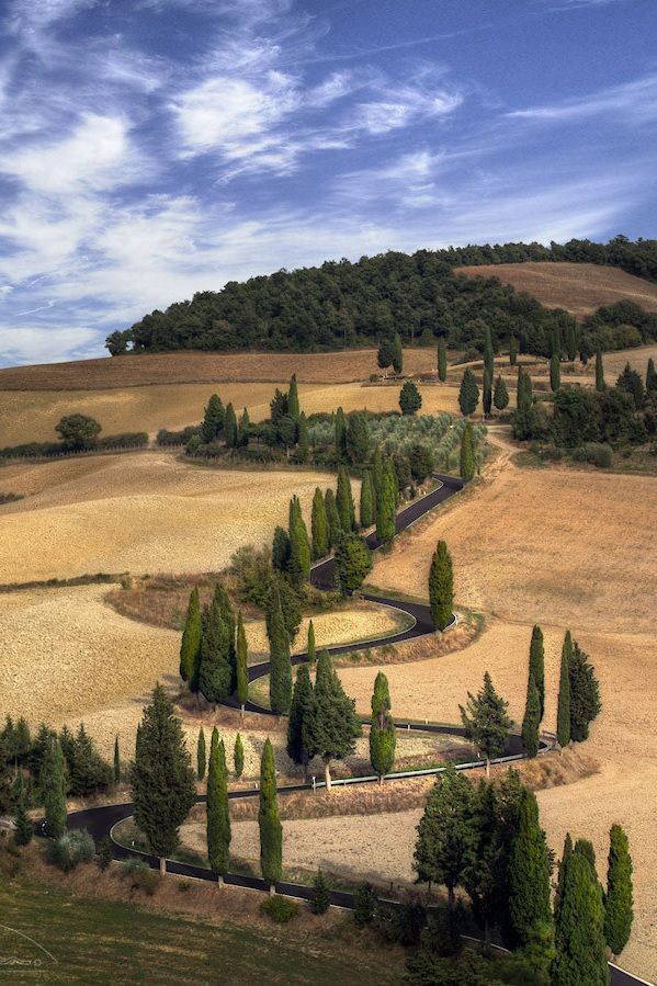 an aerial view of a winding road surrounded by trees and rolling hills in the distance