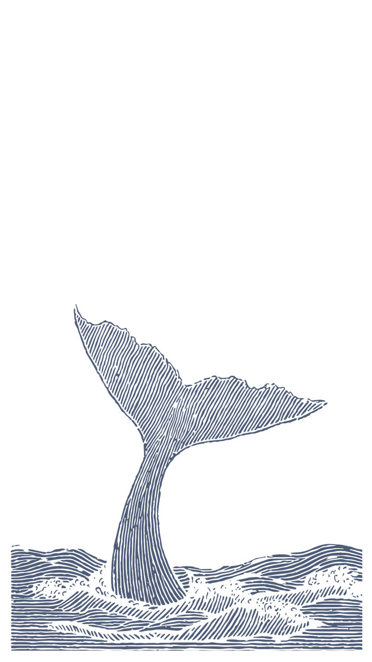 a drawing of a whale's tail in the water