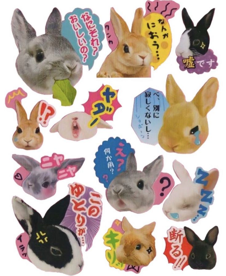 various animal stickers with japanese characters on them