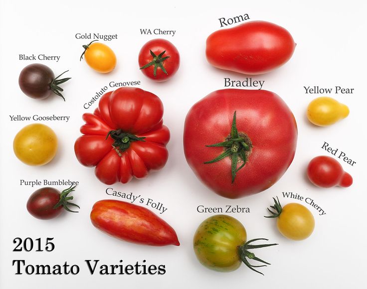 tomatoes and other vegetables are shown in this image with the names of their different varieties