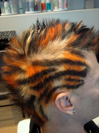 Tiger print fowhawk Tiger Hair Color, Tiger Hairstyle, Orange Mullet, Tiger Stripes Hair, Tiger Hair, Dyeing Hair, Hair Portfolio, Undercut Designs, Hair Chalk