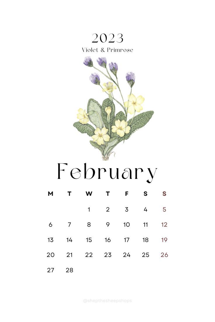 trendy birth month flower wall calendar for February 2023 2023 Monthly Calendar, Minimal Calendar, February Month, Simple Calendar, February Calendar, Cute Calendar, 2023 Calendar, Calendar Wallpaper, Calendar 2020