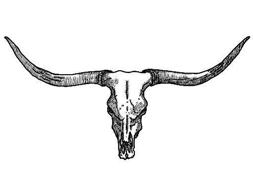 an animal skull with long horns is shown in black and white