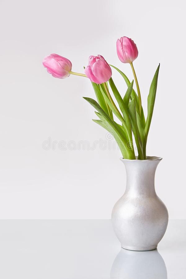 three pink tulips in a silver vase on a white surface royalty images and stock photos