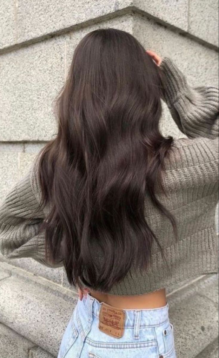 Brown Hair Inspiration, Rambut Brunette, Dark Brunette Hair, Brown Hair Looks, Brown Hair Inspo, Brunette Hair With Highlights, Long Dark Hair, Hair Stylies, Hair Inspiration Color