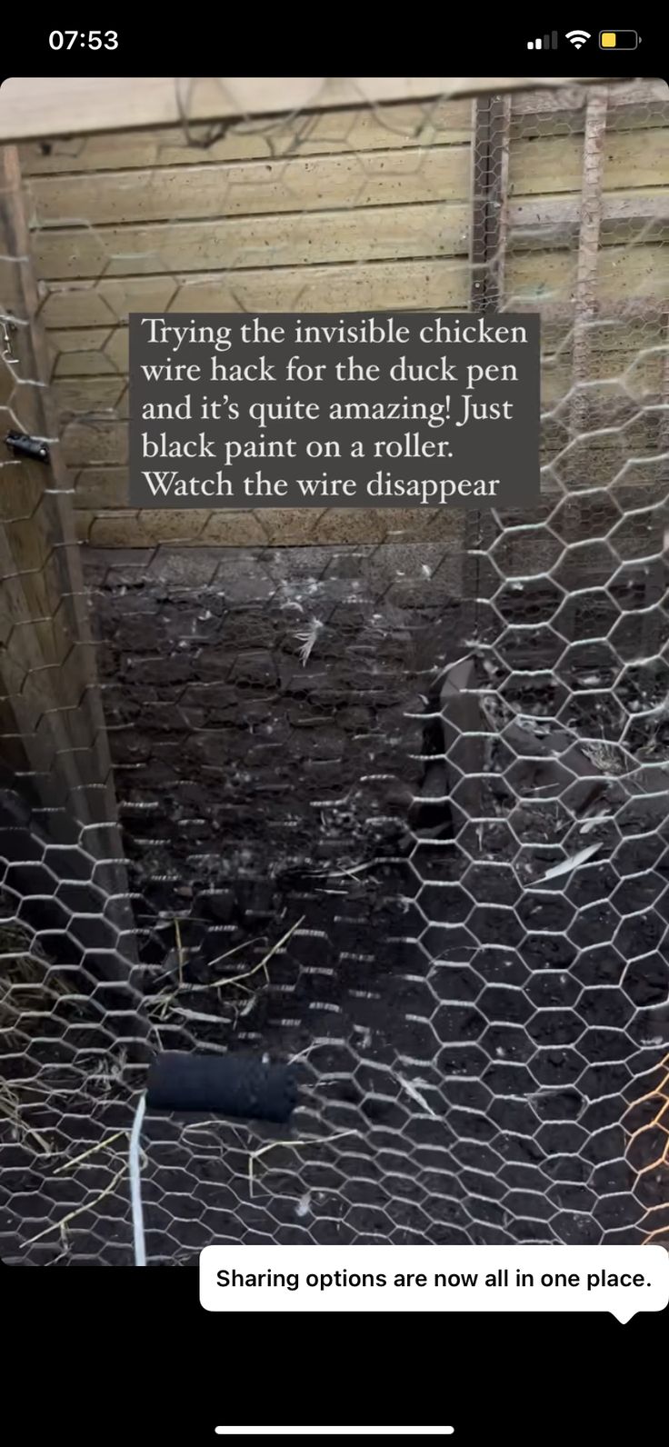 a chicken cage with the text saying, trying to invisible chicken wire back for the black hen