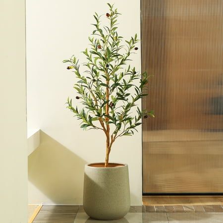 a potted plant sitting on top of a table in front of a wall and door