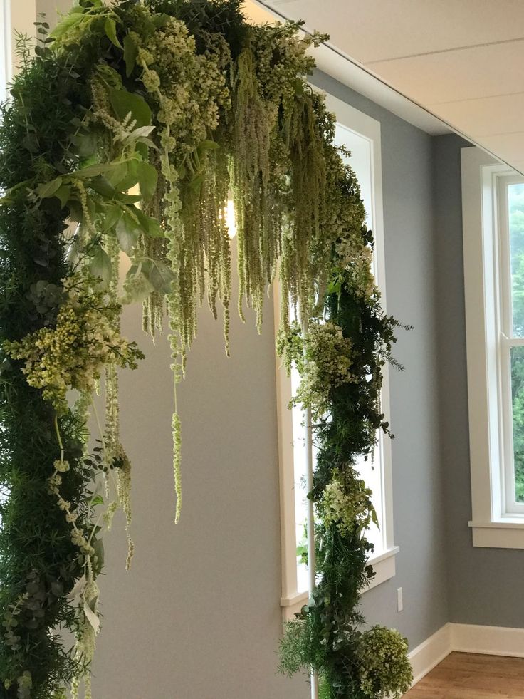 an arrangement of greenery is hanging from the ceiling in a room with two windows