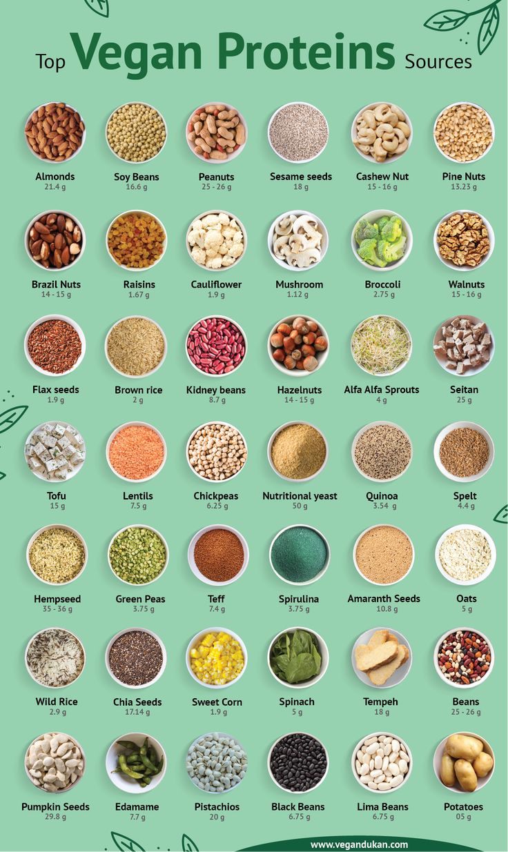 the top vegan proteins sources and their uses in each type of food, including beans