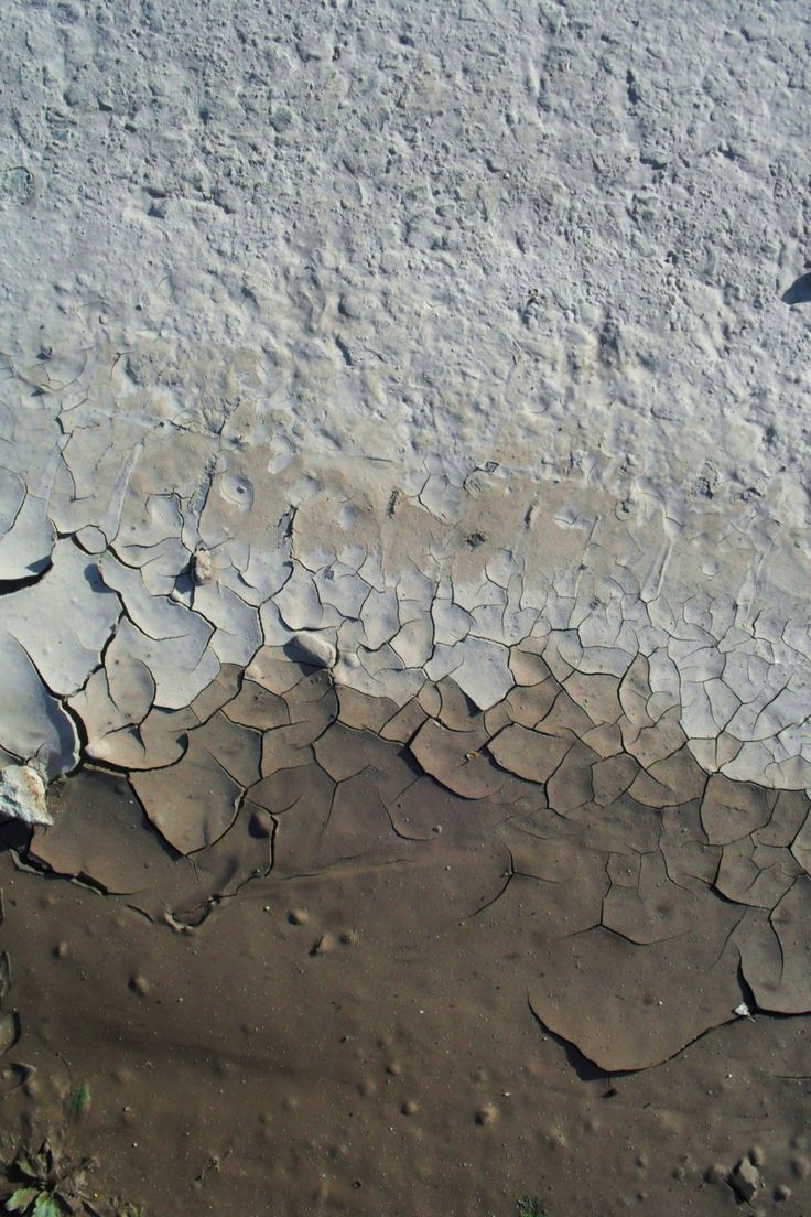 the ground is covered in mud and water with small patches of dirt on top of it