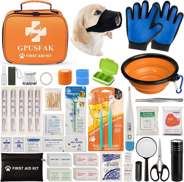 an orange first aid kit with blue gloves and other items