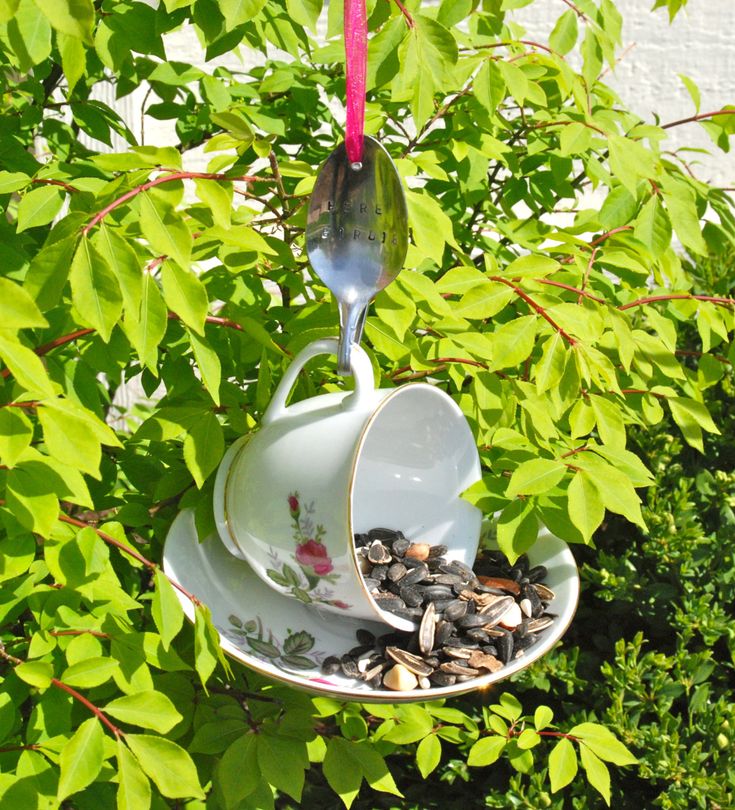 a teacup and saucer hanging from a tree filled with sunflower seeds in the sunlight