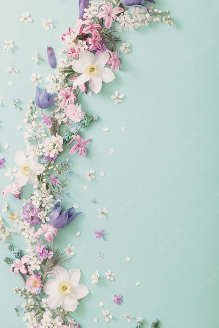 an overhead view of flowers and butterflies on a blue background