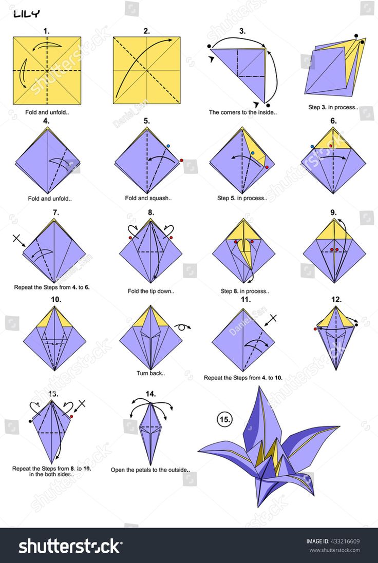 how to make an origami bird with paper step by step instructions for beginners