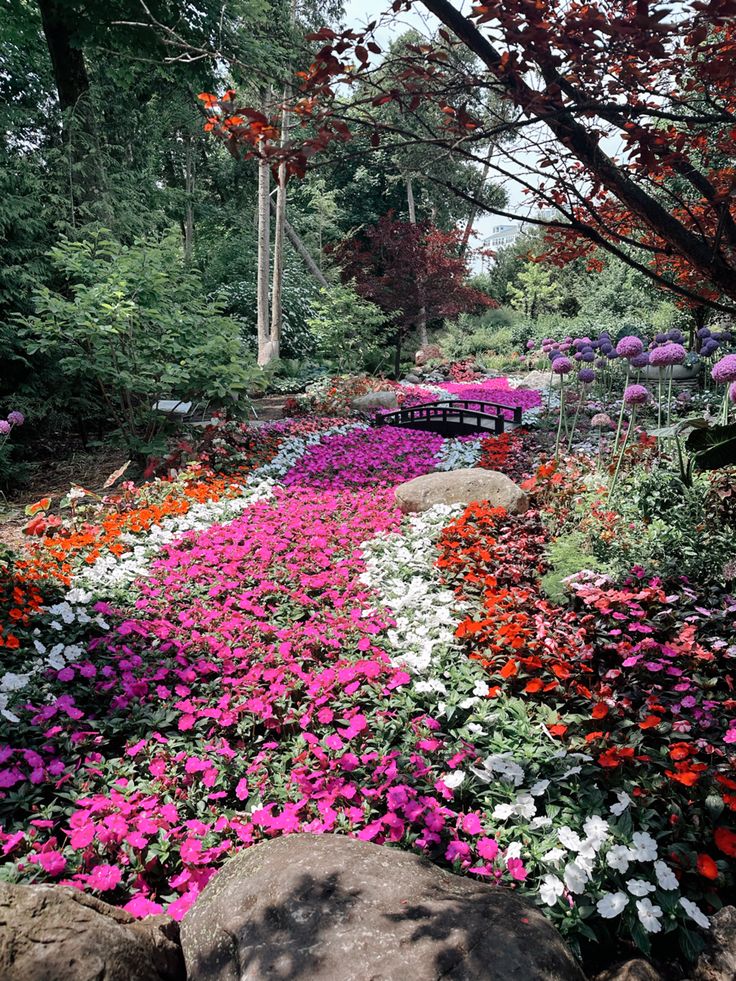 colorful flower garden with rocks and trees in the background