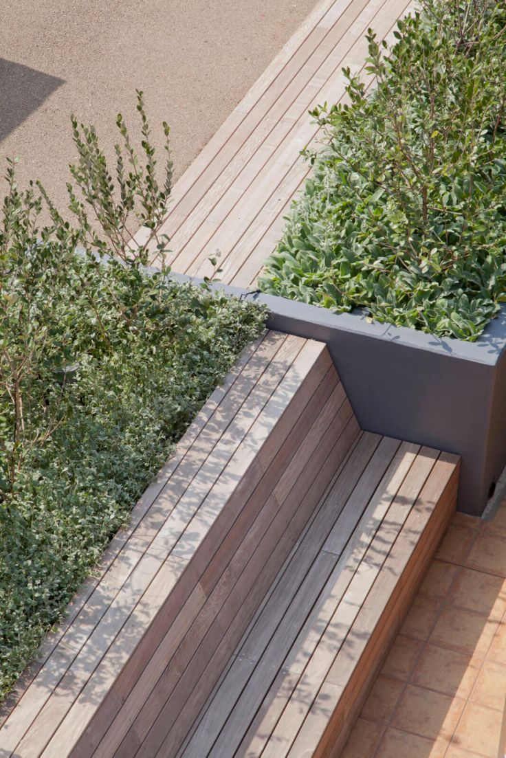 an overhead view of a bench with plants growing on the top and bottom, next to a walkway