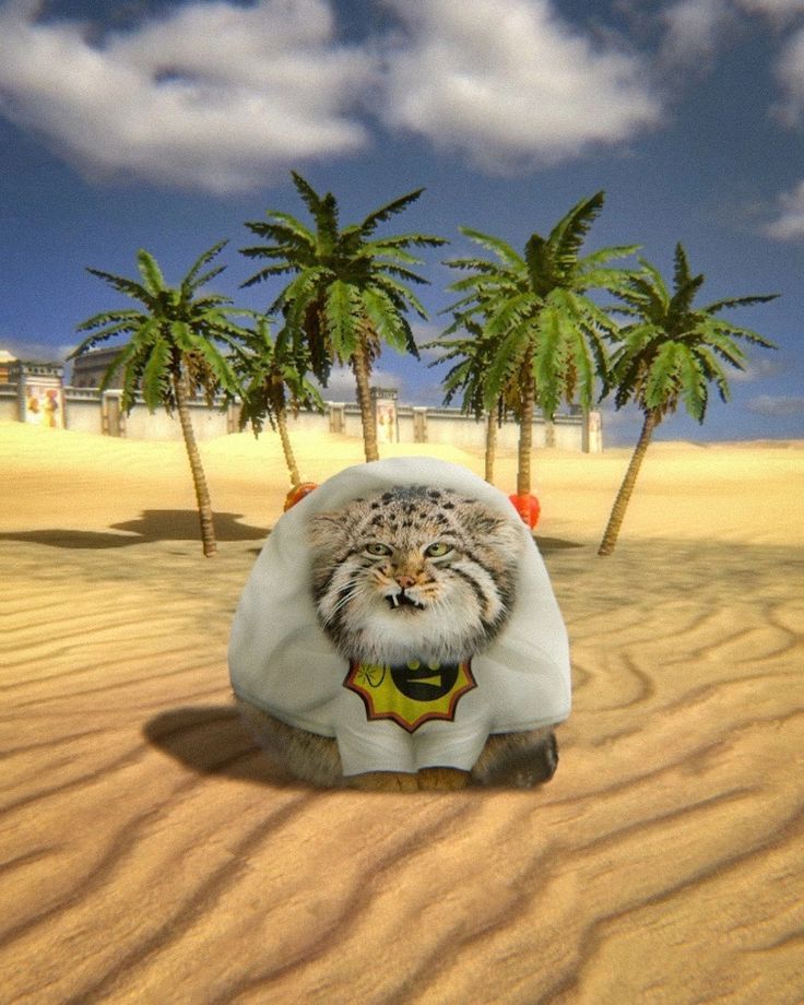 a cat sitting on top of a sandy beach next to palm trees