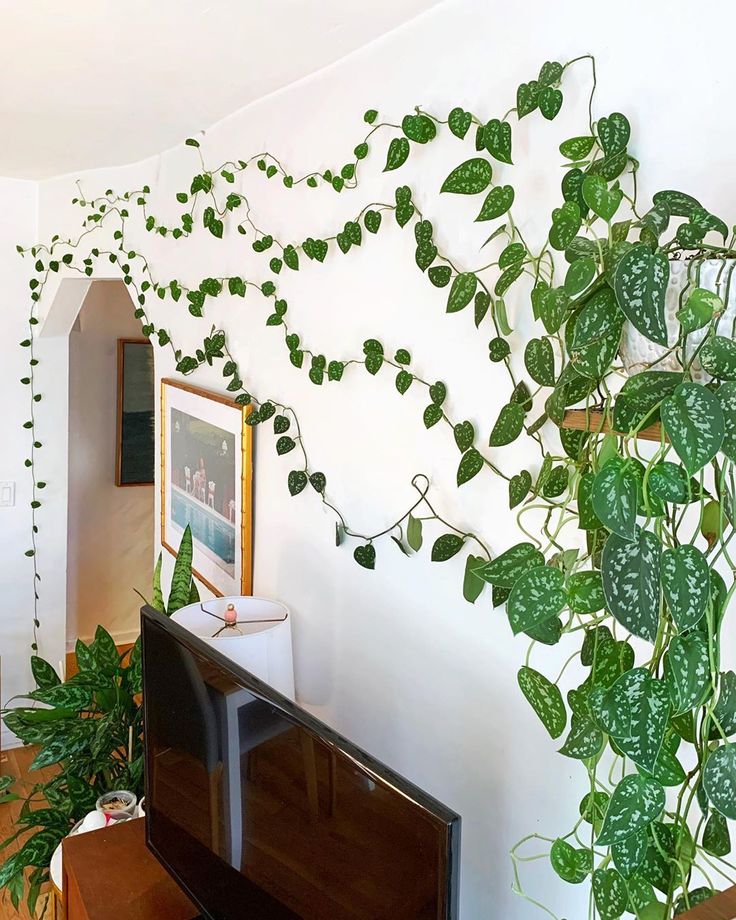 a living room with green plants on the wall and a flat screen tv in front of it