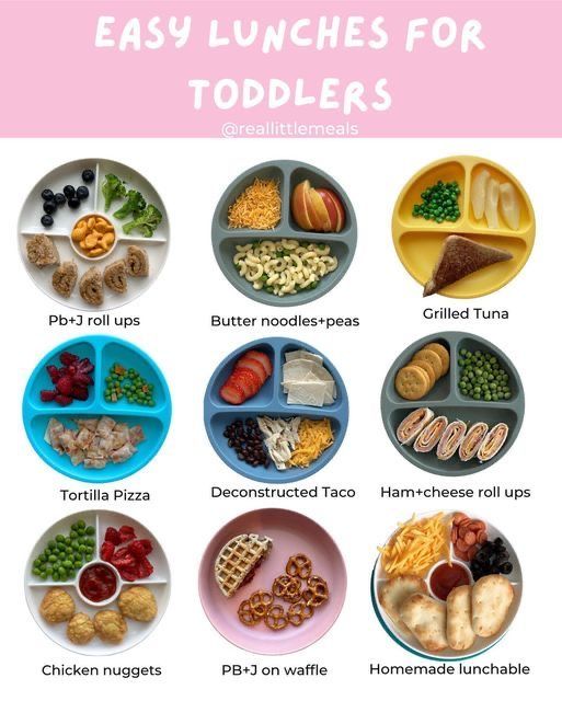 the easy lunches for toddlers are packed with different foods