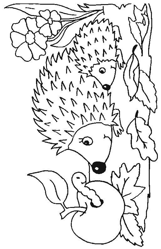 a hedgehog with flowers and leaves on it's head is shown in this coloring page