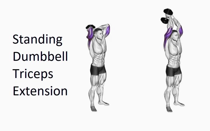 a man doing dumbbell exercises with the words standing dumbbell triceps extension