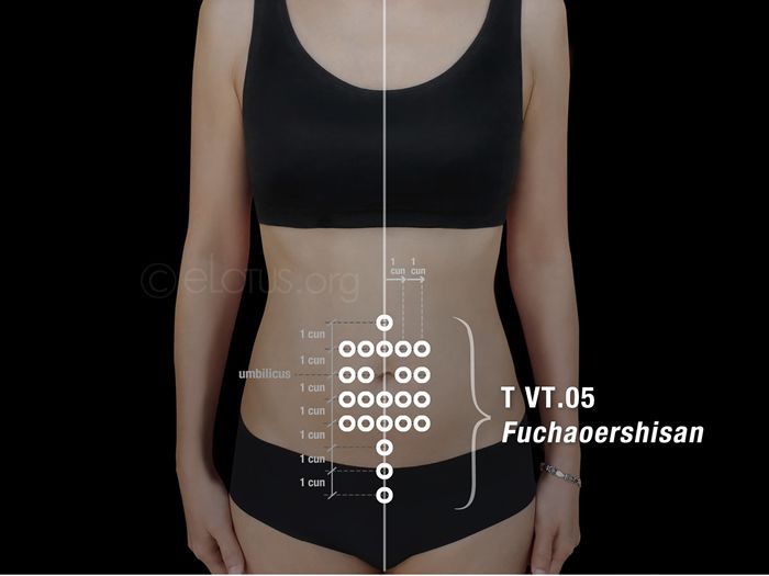 Comprehensive information about the Master Tung's acupuncture point, Fu Chao Er Shi San (T VT.05) Acupuncture Point, Ear Anatomy, Magnet Therapy, Acupuncture Points, Certificate Programs, Abdominal Pain, Free Courses, Acupressure, Tongs