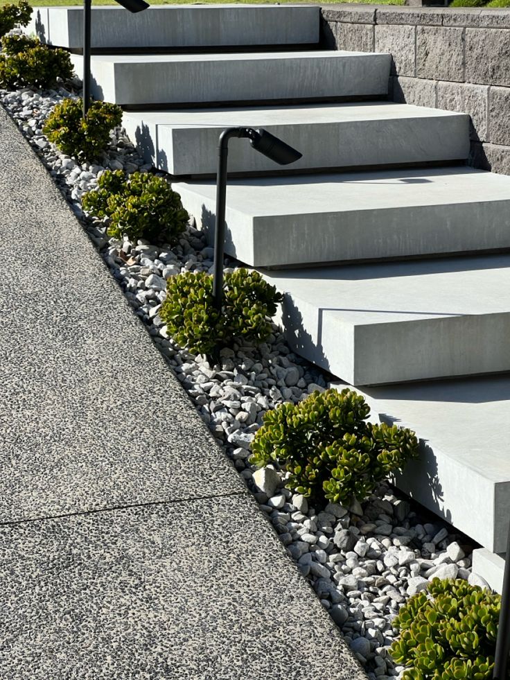 concrete steps are lined with plants and rocks