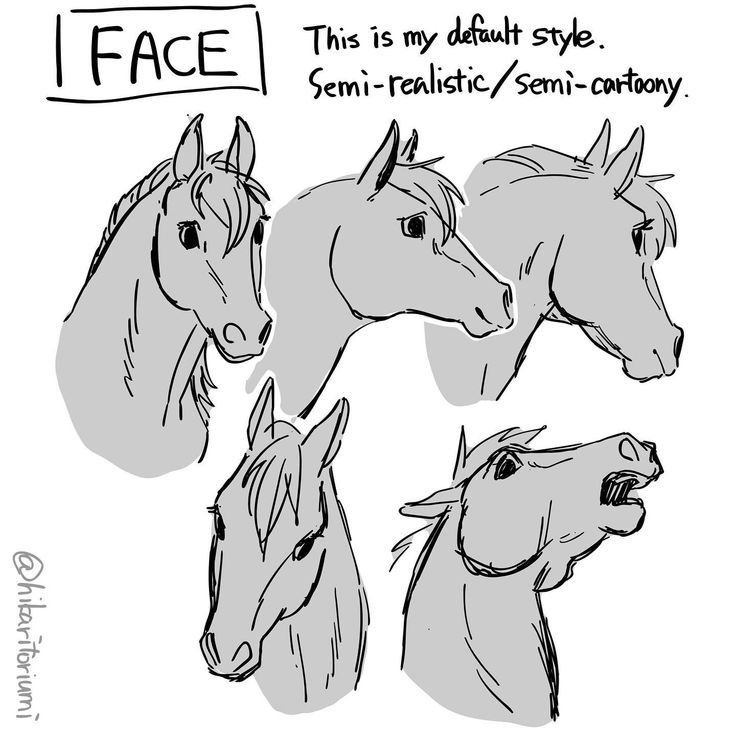 some horse heads with different facial expressions