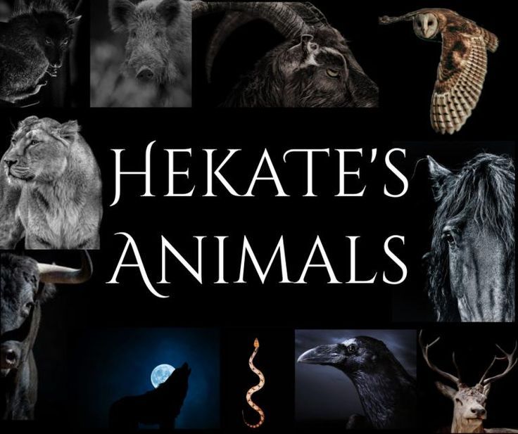 hekate's animals are featured in this black and white photo collage