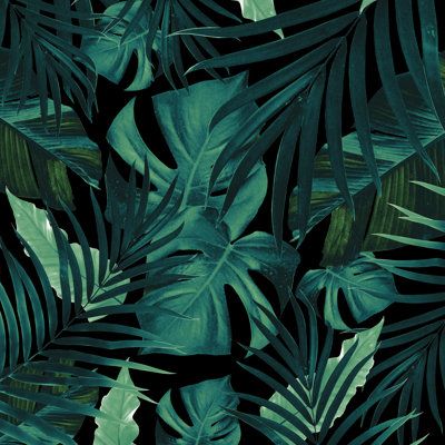 a black and green wallpaper with tropical leaves