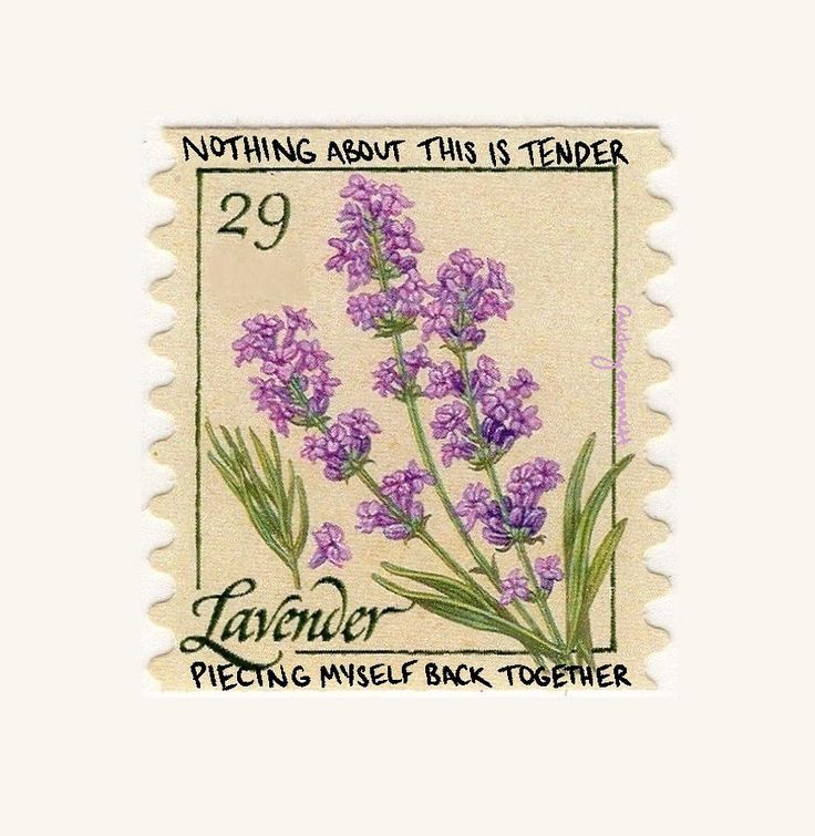 a stamp with purple flowers on it that says, nothing about this tender 29 cents