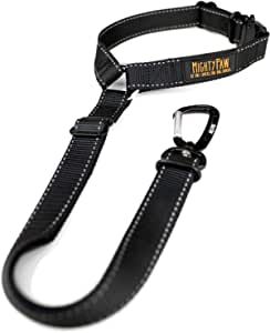 a black leash with white stitching on it