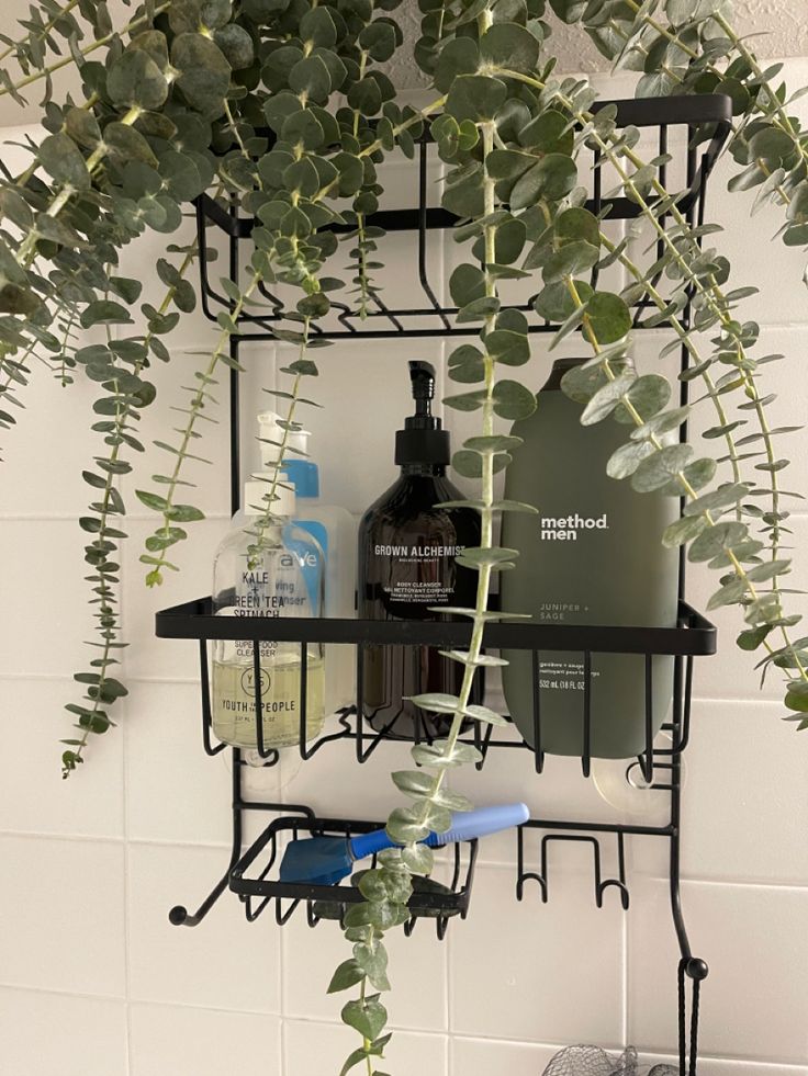 a bathroom shelf with soap, shampoo and lotion bottles on it next to a plant