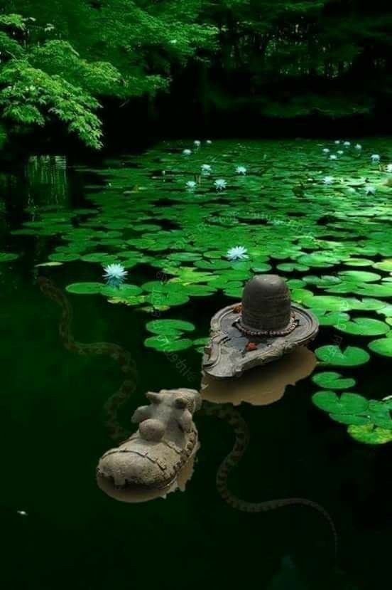 a boat floating on top of a lake filled with water lillies and a hat