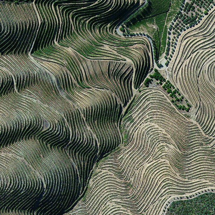 an aerial view of some hills and valleys in the countryside, with trees growing on them