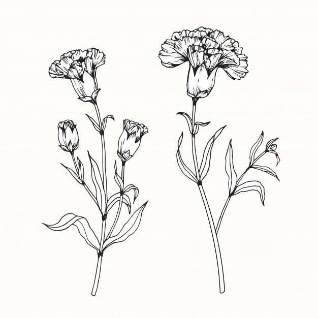 three flowers are shown in black and white, with one flower on the left side