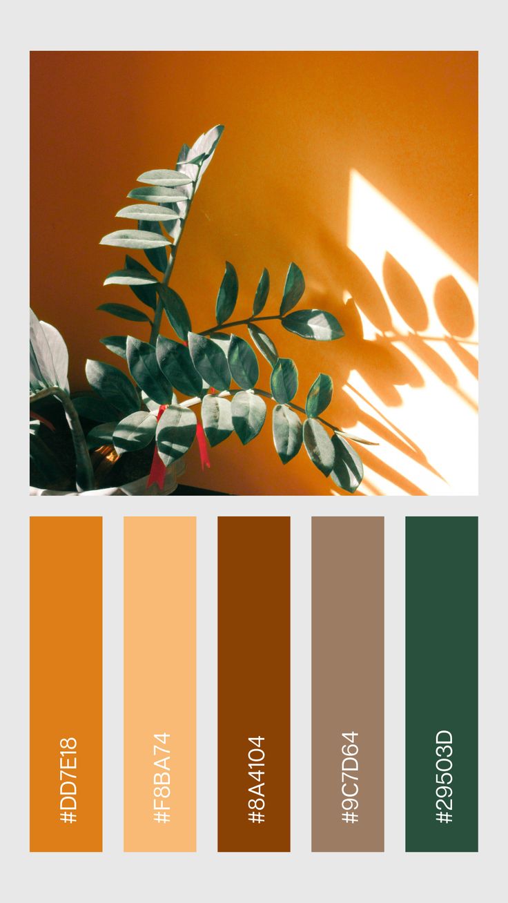 the color palette is orange, brown and green