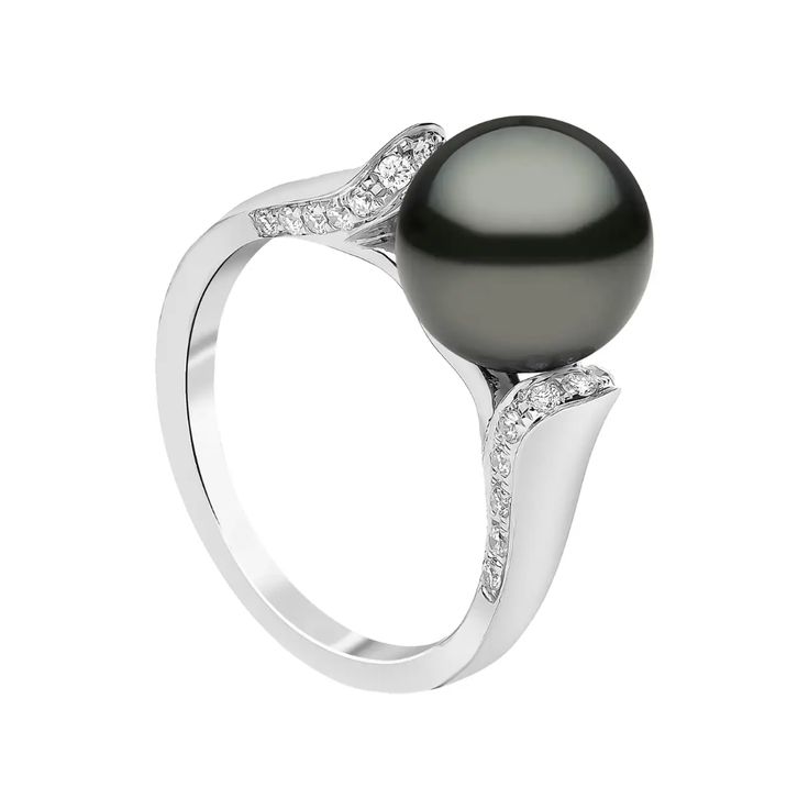 Luxury Tahitian Pearl Ring In White Gold, Elegant White Gold Tahitian Pearl Ring, Elegant Tahitian Pearl Ring With Diamond Accents, Luxury Tahitian Pearl Ring With Diamond Accents, White Diamond Pearl, Tahitian Pearl Ring, Gold Pearl Jewelry, Timeless Ring, Tahitian Black Pearls