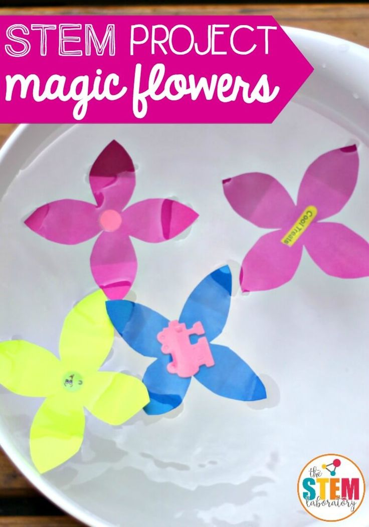 Make flowers out of paper and watch them magically unfold to reveal a surprise! A fun preschool science experiment that children can do all on their own. Preschool Stem Projects, Preschool Flower Theme, Flowers Out Of Paper, Spring Science Experiments, Flower Activities For Kids, Spring Stem Activities, Flower Science, Spring Science, Kids Preschool Learning