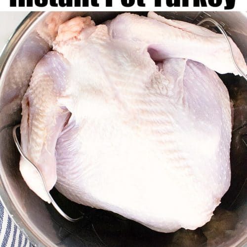 a chicken in a pot with the words instant pot turkey