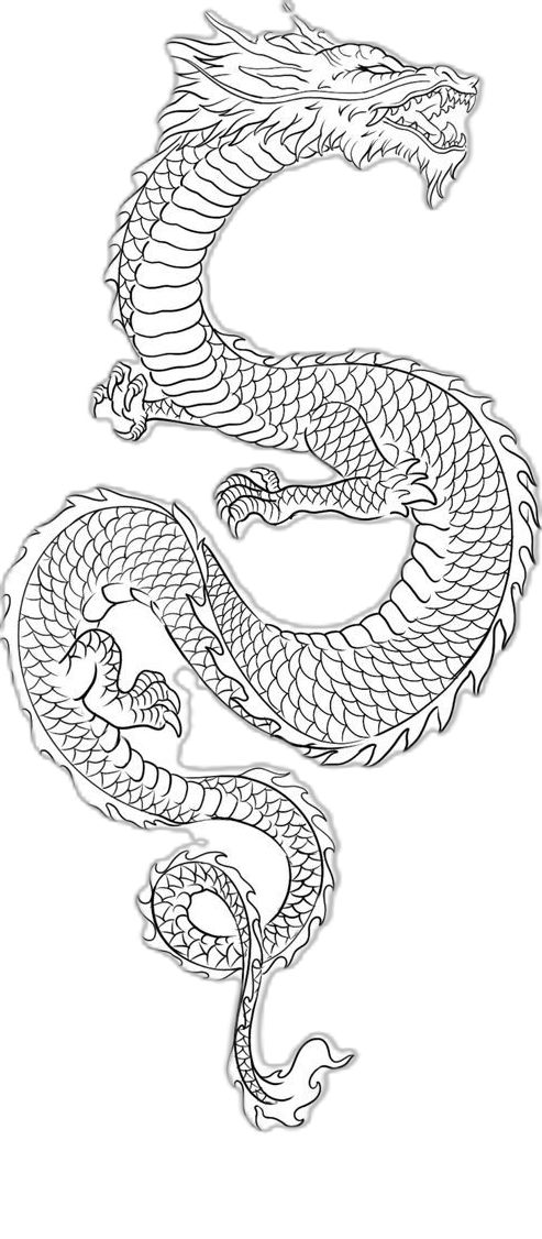 a black and white drawing of a dragon with its tail curled in the shape of a snake