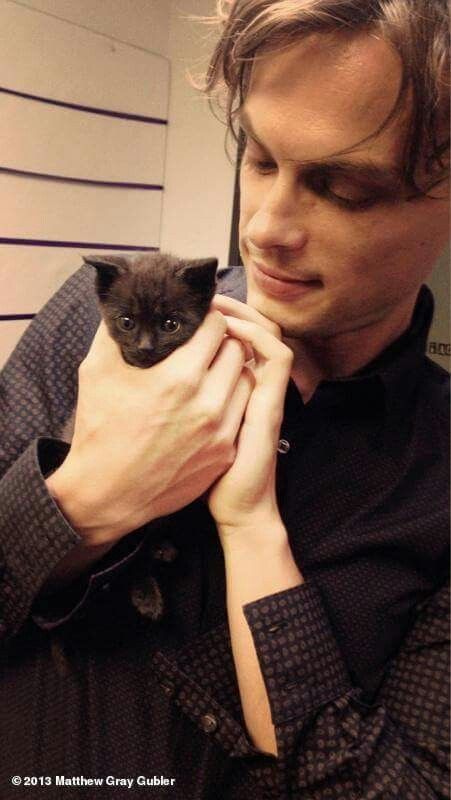 a man is holding a small kitten in his hands while he looks at the camera