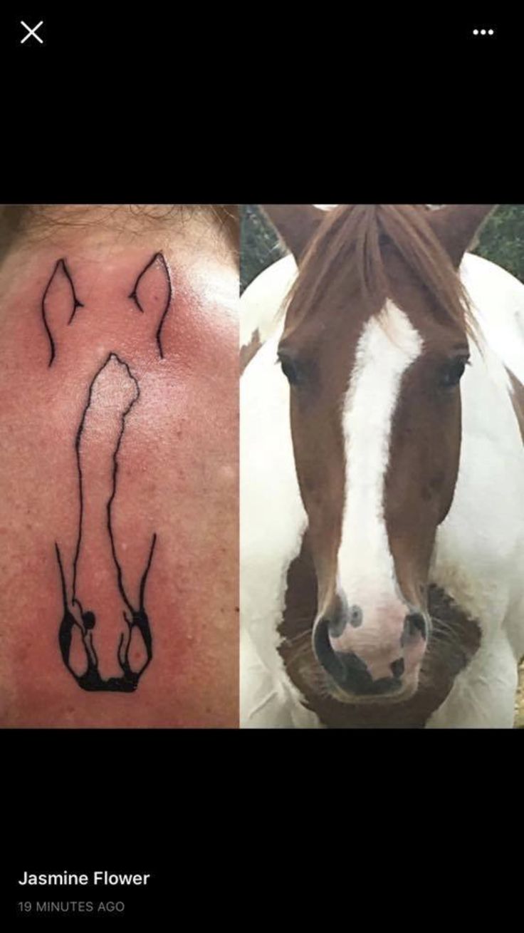 two pictures one with a horse and the other has a tattoo on it