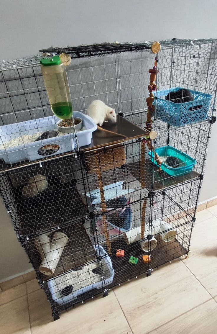 a cage that has various items in it on top of the floor next to a wall