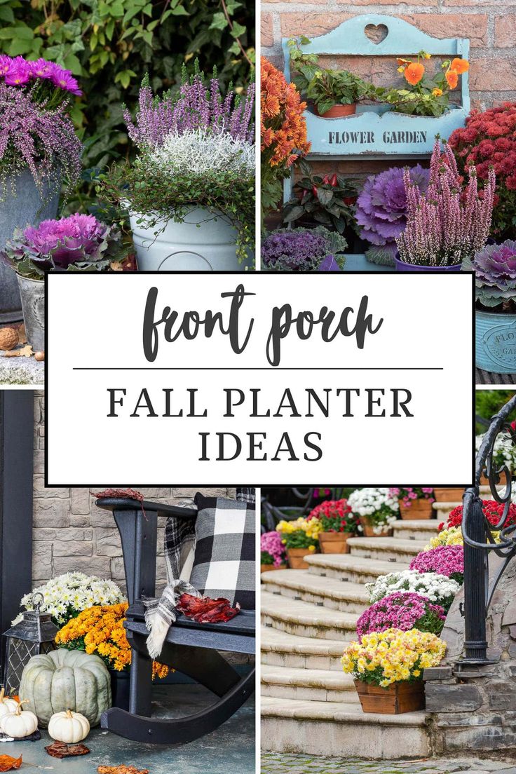 Front Porch Fall Planter Ideas Fall Flowers Porch, Autumn Outdoor Decor, Fall Planter Ideas, Cute Front Porch, Mums And Pumpkins, Licorice Plant, Mums In Pumpkins, Planters Ideas, Summer Planter