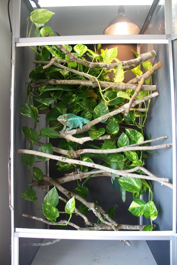 an open refrigerator filled with lots of green plants and branches on top of each other