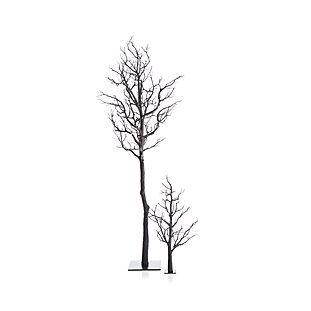 two bare trees in the snow on a white background