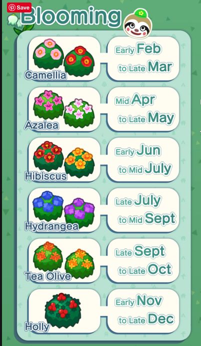 an animal crossing game with flowers on it