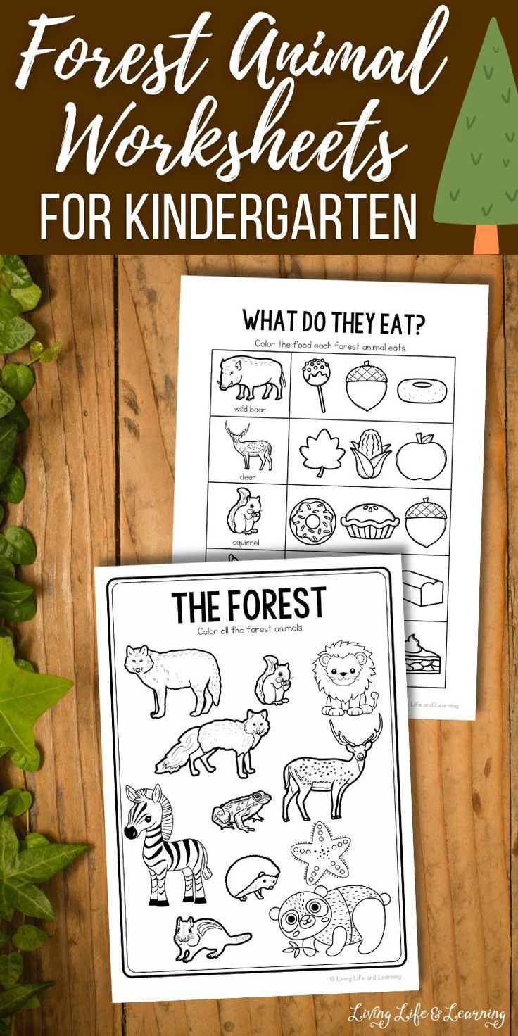 the forest animal worksheets for children to learn